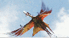 Great Leonopteryx