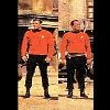 Red-Shirted Ensigns
